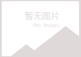 韶关字迹会计有限公司